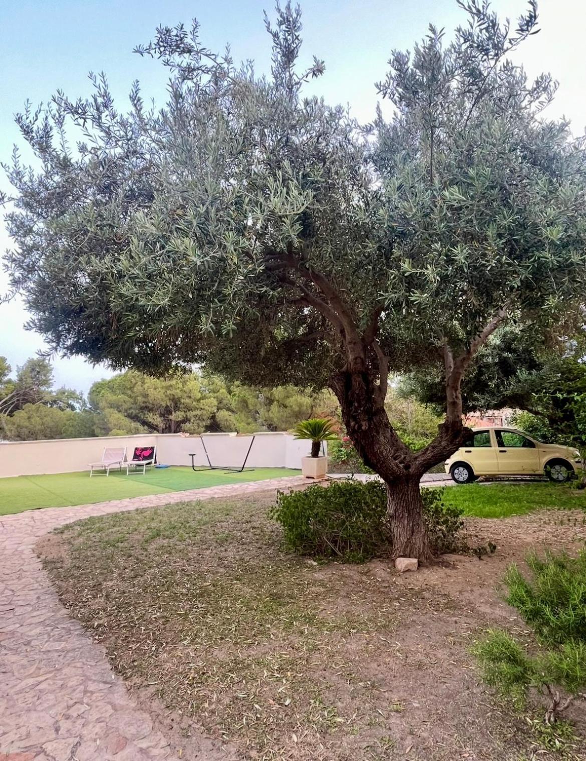 Villa Vittoria Solanas  Exteriör bild